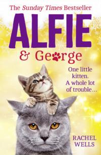 Alfie and George: A heart-warming tale about how one cat and his kitten brought a street together - Rachel Wells