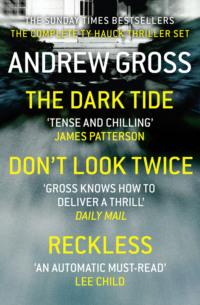 Andrew Gross 3-Book Thriller Collection 1: The Dark Tide, Don’t Look Twice, Relentless - Andrew Gross