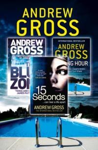 Andrew Gross 3-Book Thriller Collection 2: 15 Seconds, Killing Hour, The Blue Zone, Andrew  Gross audiobook. ISDN39750137
