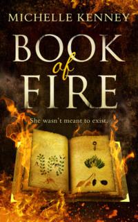 Book of Fire: a debut fantasy perfect for fans of The Hunger Games, Divergent and The Maze Runner - Michelle Kenney