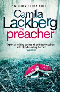 Camilla Lackberg Crime Thrillers 1-3: The Ice Princess, The Preacher, The Stonecutter, Камиллы Лэкберг audiobook. ISDN39750825