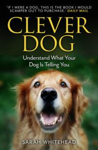 Clever Dog: Understand What Your Dog is Telling You, Sarah  Whitehead Hörbuch. ISDN39751057