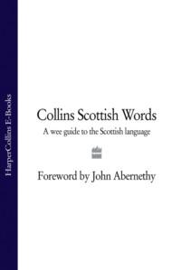 Collins Scottish Words: A wee guide to the Scottish language, John  Abernethy książka audio. ISDN39751121