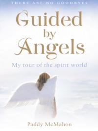Guided By Angels: There Are No Goodbyes, My Tour of the Spirit World,  audiobook. ISDN39752561
