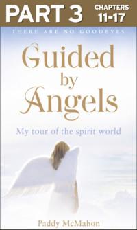 Guided By Angels: Part 3 of 3: There Are No Goodbyes, My Tour of the Spirit World - Paddy McMahon