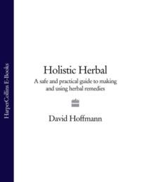 Holistic Herbal: A Safe and Practical Guide to Making and Using Herbal Remedies - David Hoffmann