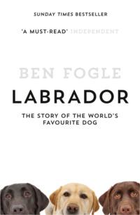Labrador: The Story of the World’s Favourite Dog, Ben  Fogle książka audio. ISDN39753833