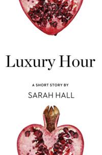 Luxury Hour: A Short Story from the collection, Reader, I Married Him, Sarah  Hall аудиокнига. ISDN39754185