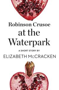 Robinson Crusoe at the Waterpark: A Short Story from the collection, Reader, I Married Him, Elizabeth  McCracken Hörbuch. ISDN39755409