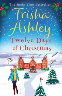 Twelve Days of Christmas: A bestselling Christmas read to devour in one sitting! - Trisha Ashley