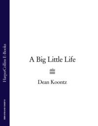 A Big Little Life, Dean  Koontz аудиокнига. ISDN39757761