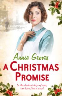 A Christmas Promise, Annie  Groves książka audio. ISDN39758241