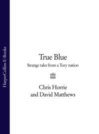 True Blue: Strange Tales from a Tory Nation - David Matthews