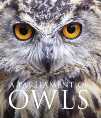 A Parliament of Owls - David Tipling