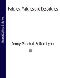 Hatches, Matches and Despatches, Jenny  Paschall audiobook. ISDN39762561
