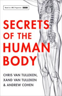 Secrets of the Human Body, Andrew  Cohen książka audio. ISDN39763425