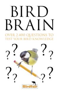 Bird Brain: Over 2,400 Questions to Test Your Bird Knowledge,  książka audio. ISDN39763889