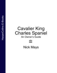 Cavalier King Charles Spaniel: An Owner’s Guide, Nick  Mays książka audio. ISDN39764169