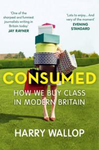 Consumed: How We Buy Class in Modern Britain - Harry Wallop