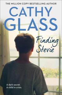 Finding Stevie: A teenager in crisis, Cathy  Glass аудиокнига. ISDN39765257