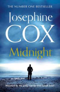 Josephine Cox 3-Book Collection 1: Midnight, Blood Brothers, Songbird, Josephine  Cox książka audio. ISDN39766577