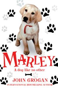 Marley: A Dog Like No Other, John  Grogan аудиокнига. ISDN39767065