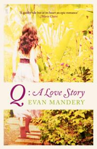 Q: A Love Story, Evan  Mandery аудиокнига. ISDN39767897