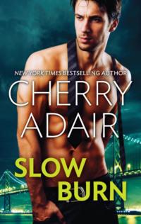 Slow Burn: Seducing Mr. Right / Take Me, Cherry  Adair audiobook. ISDN39768449