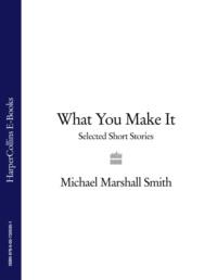 What You Make It: Selected Short Stories - Michael Smith