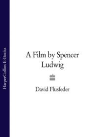 A Film by Spencer Ludwig, David  Flusfeder audiobook. ISDN39770553