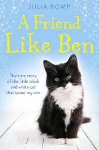 A Friend Like Ben: The true story of the little black and white cat that saved my son,  audiobook. ISDN39770741