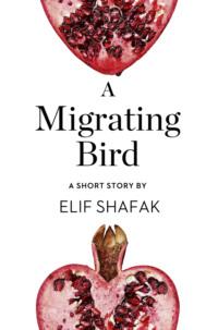 A Migrating Bird: A Short Story from the collection, Reader, I Married Him, Элиф Шафак audiobook. ISDN39770981