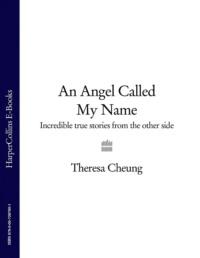 An Angel Called My Name: Incredible true stories from the other side - Theresa Cheung