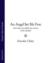 An Angel Set Me Free: And other incredible true stories of the afterlife,  audiobook. ISDN39771373
