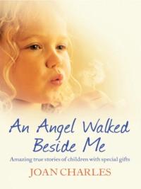 An Angel Walked Beside Me: Amazing stories of children who touch the other side - Joan Charles
