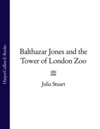 Balthazar Jones and the Tower of London Zoo - Julia Stuart