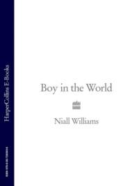 Boy in the World, Niall  Williams audiobook. ISDN39772173