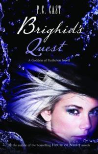 Brighids Quest, P.C.  Cast audiobook. ISDN39773165