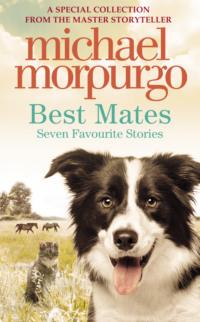 Best Mates, Michael  Morpurgo książka audio. ISDN39774101