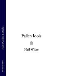FALLEN IDOLS, Neil  White audiobook. ISDN39775461