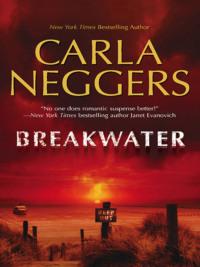 Breakwater, Carla  Neggers audiobook. ISDN39775941