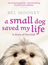 A Small Dog Saved My Life, Bel  Mooney audiobook. ISDN39777389