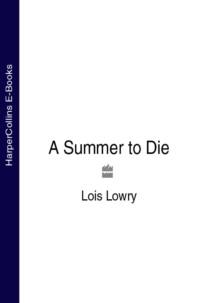 A Summer to Die, Lois  Lowry książka audio. ISDN39777517