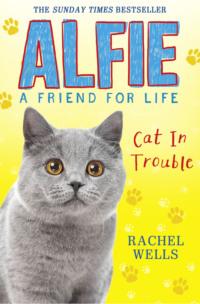 Alfie Cat In Trouble, Rachel  Wells аудиокнига. ISDN39777853