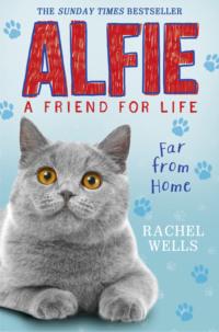 Alfie Far From Home, Rachel  Wells książka audio. ISDN39777861