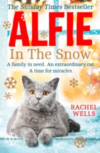 Alfie in the Snow - Rachel Wells