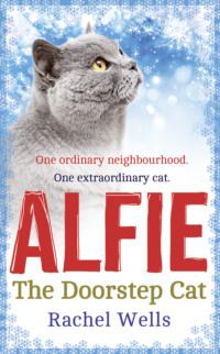 Alfie the Doorstep Cat - Rachel Wells