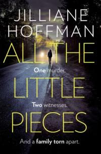 All the Little Pieces - Jilliane Hoffman