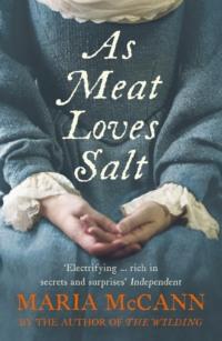 As Meat Loves Salt, Maria  McCann audiobook. ISDN39778517