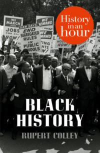 Black History: History in an Hour, Rupert  Colley аудиокнига. ISDN39779197